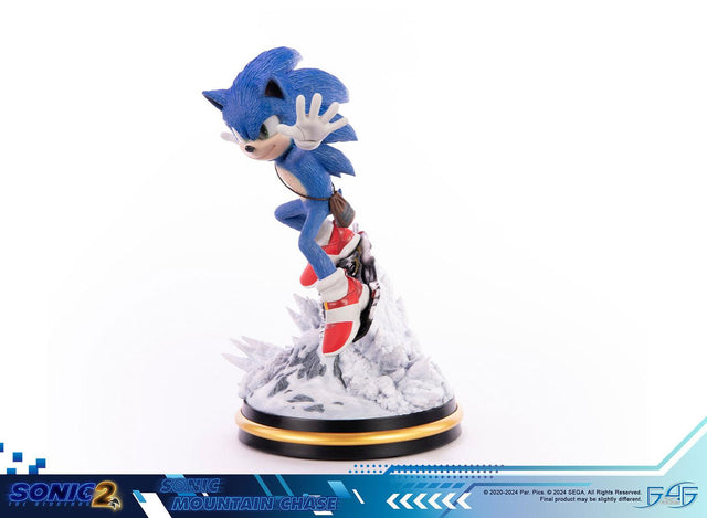 Sonic the Hedgehog 2 - Sonic Mountain Chase (sonicdrone_st_26.jpg)