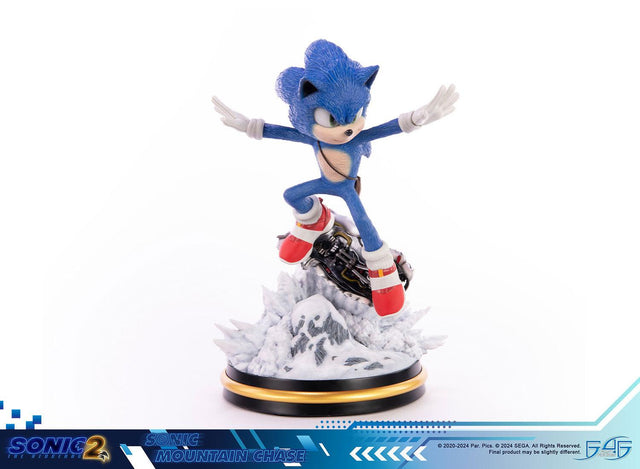 Sonic the Hedgehog 2 - Sonic Mountain Chase (sonicdrone_st_27.jpg)