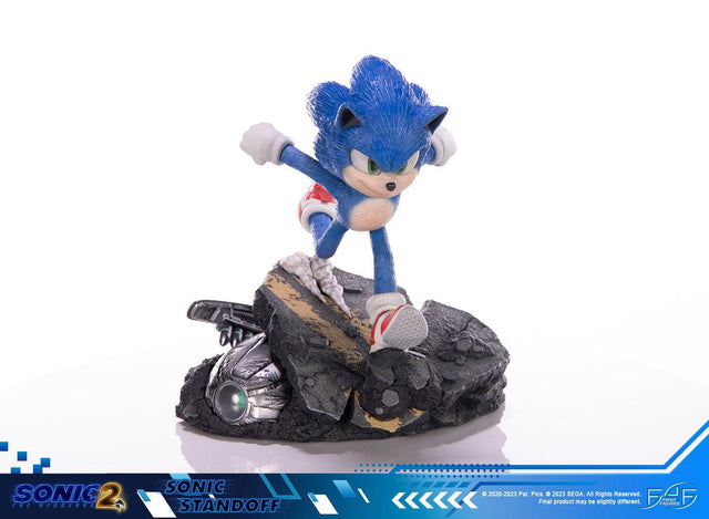 Sonic the Hedgehog 2 - Sonic Standoff (sonicstandoff_stwbg_03.jpg)