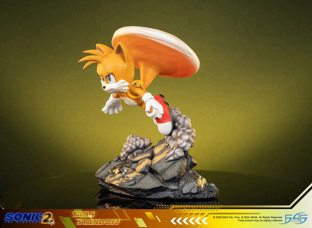 Sonic the Hedgehog 2 - Tails Standoff (tailsstandoff_st_07.jpg)