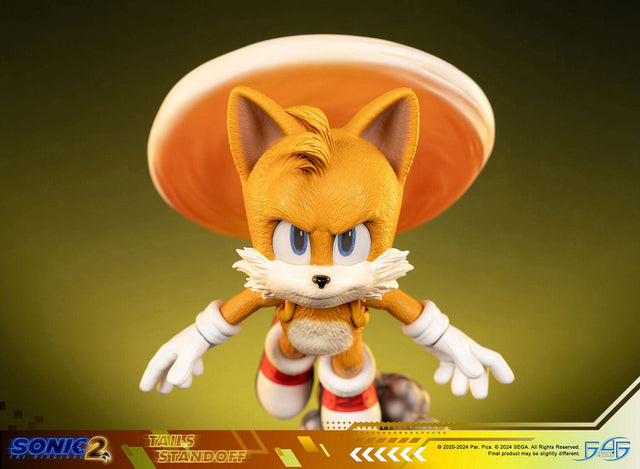 Sonic the Hedgehog 2 - Tails Standoff (tailsstandoff_st_10.jpg)
