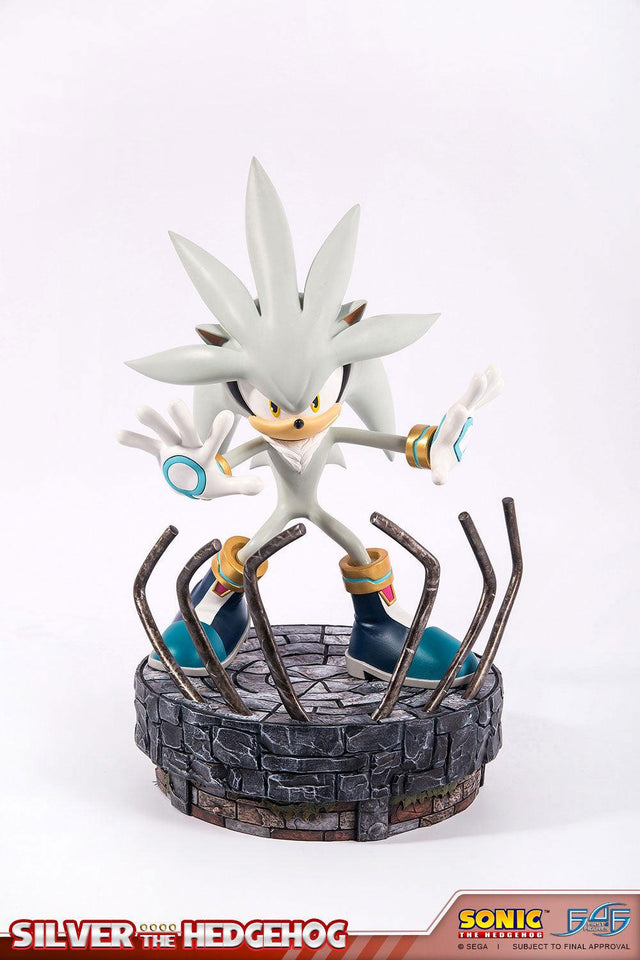 Silver the Hedgehog (Regular) (vertical_02_3.jpg)
