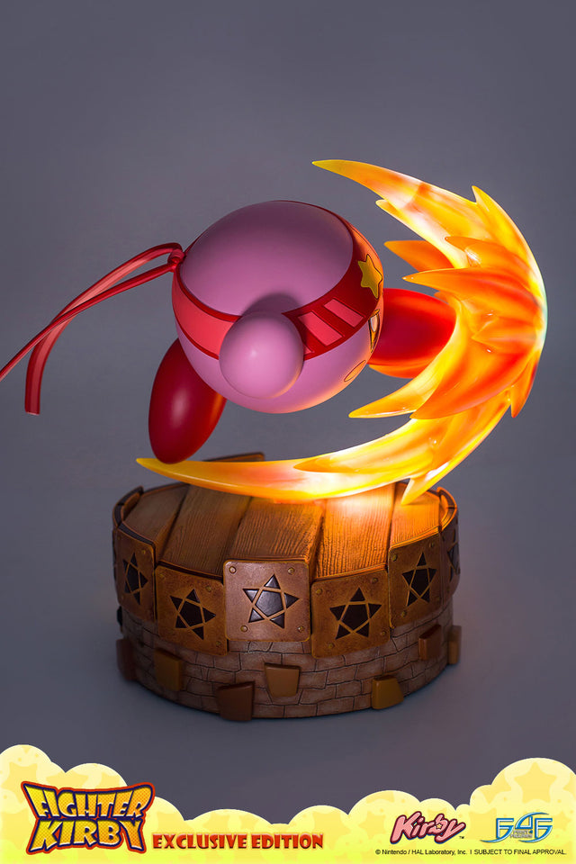 Fighter Kirby (Exclusive) (vertical_07_2_6.jpg)