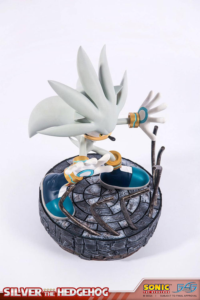 Silver the Hedgehog (Regular) (vertical_11_3.jpg)