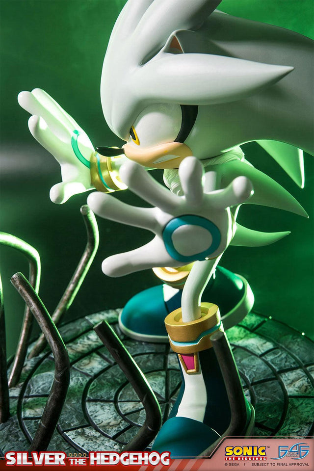 Silver the Hedgehog (Regular) (vertical_13_3.jpg)