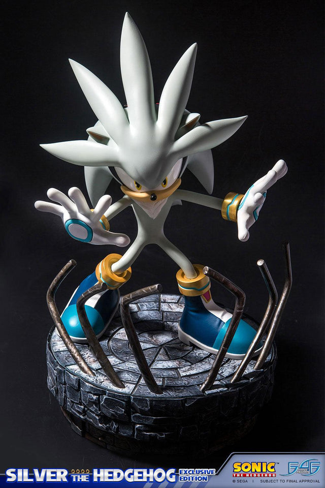 Silver the Hedgehog (Exclusive) (vertical_14_1_1.jpg)