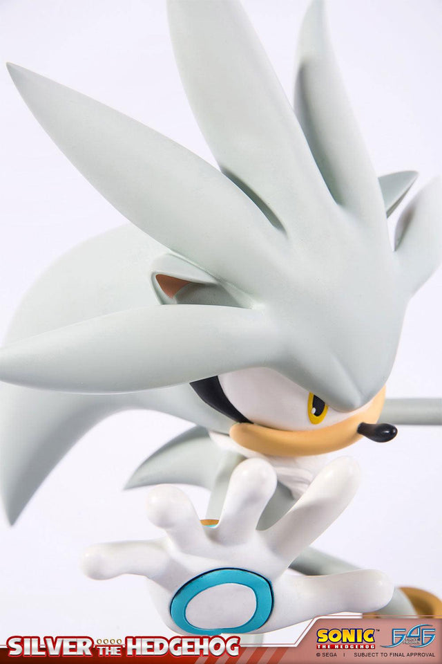 Silver the Hedgehog (Regular) (vertical_17_3.jpg)
