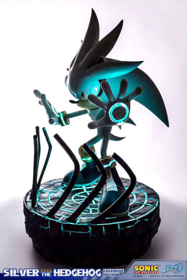 Silver the Hedgehog (Exclusive) (vertical_19_1_1.jpg)