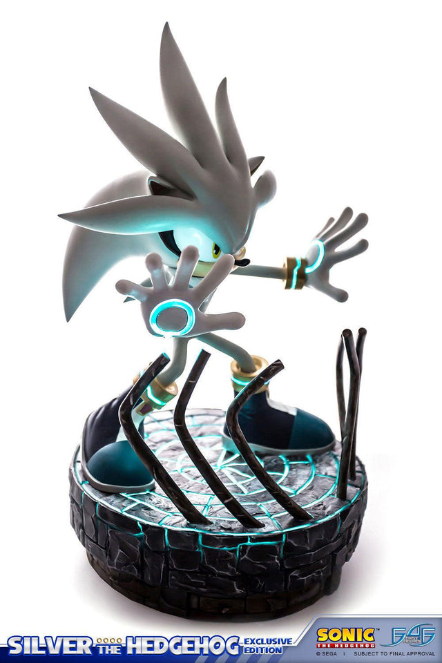 Silver the Hedgehog (Exclusive) (vertical_21_1_1.jpg)