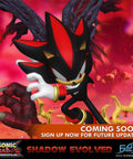 Interested in our upcoming Sonic X Shadow Generations - Shadow Evolved?