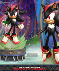 Sonic The Hedgehog - The Ultimate Life Form: Shadow the Hedgehog (08627c8c-e9c5-43f3-8500-d9a916a53841.jpg)