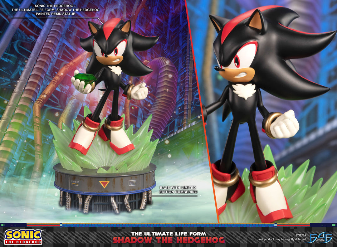 Sonic The Hedgehog - The Ultimate Life Form: Shadow the Hedgehog ...