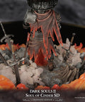 Soul of Cinder SD - Definitive edition (086fc58e-e275-4acd-b857-23e4c8d05a3e.jpg)