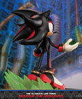 Sonic The Hedgehog - The Ultimate Life Form: Shadow the Hedgehog (0a03c73c-5ae6-4fd9-8b34-7d200036d25f.jpg)