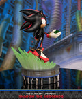 Sonic The Hedgehog - The Ultimate Life Form: Shadow the Hedgehog (0f985d9b-8d2e-4473-87a5-f609315e33f1.jpg)
