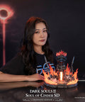 Soul of Cinder SD - Definitive edition (117b85a1-91f9-4e87-ac1e-797f1bfd0fd8.jpg)