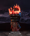 Soul of Cinder SD - Exclusive edition (2030eea3-0dd6-4ee4-8b5d-bbf16467d4b5.jpg)