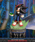 Sonic The Hedgehog - The Ultimate Life Form: Shadow the Hedgehog (247f3abe-e0d7-4f6b-8de8-8510ac40599a.jpg)