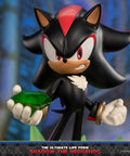 Sonic The Hedgehog - The Ultimate Life Form: Shadow the Hedgehog (26d86f35-0aa0-4363-a656-a954a2b6a4b5.jpg)