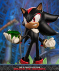 Sonic The Hedgehog - The Ultimate Life Form: Shadow the Hedgehog (2eabd292-6676-42f6-bca7-8de4feaaa18f.jpg)