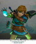 The Legend of Zelda™: Tears of the Kingdom - Link PVC (Exclusive Edition) (3145520d-ada5-4ee6-bbdd-b3bddcac7983.jpg)