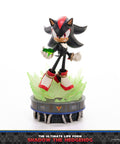 Sonic The Hedgehog - The Ultimate Life Form: Shadow the Hedgehog (33273a75-a5e3-42ef-b26d-df2214bff8e3.jpg)