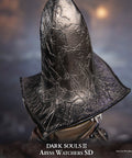 Abyss Watchers SD (384cad15-4e5d-42c2-bf98-91df2ef8d79b.jpg)