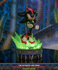 Sonic The Hedgehog - The Ultimate Life Form: Shadow the Hedgehog (Exclusive Edition) (4586cded-5357-487c-801d-c5eb15e645f0.jpg)