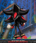 Sonic The Hedgehog - The Ultimate Life Form: Shadow the Hedgehog (4a0e4502-21fc-4d62-88bb-eb67249a5840.jpg)