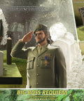 Metal Gear Solid 3: Snake Eater - Big Boss Requiem (Definitive Edition) (4k_solidsnakerequiem_de.jpg)