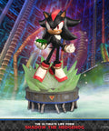 Sonic The Hedgehog - The Ultimate Life Form: Shadow the Hedgehog (78e7a642-f7ac-4b62-ac0c-9537af27c28f.jpg)