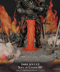 Soul of Cinder SD - Definitive edition (7da956ba-33d2-4b99-83b8-9007a46f91f6.jpg)
