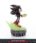 Sonic The Hedgehog - The Ultimate Life Form: Shadow the Hedgehog (841f2a35-42f5-4f17-a43c-a31323f621fc.jpg)