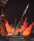 Soul of Cinder SD - Definitive edition (93d9ae51-7549-4d17-bd56-ecccff00ee34.jpg)