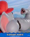 Super Mario Bros. Wonder: Elephant Mario (Standard Edition) (989840f9-7966-4101-8d1d-17176a979c83.jpg)