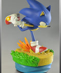 Modern Sonic  (MSTHS005.jpg)