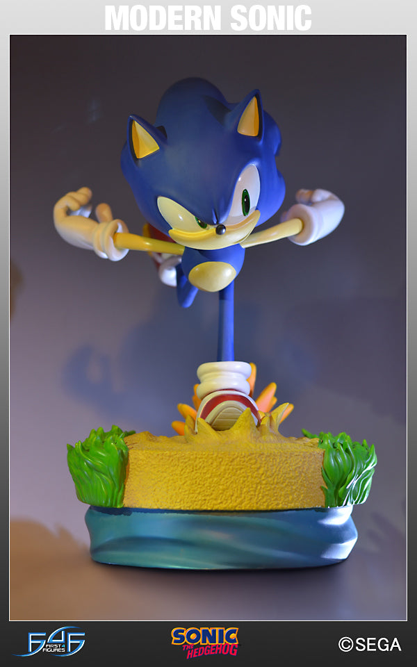 Modern Sonic  (MSTHS006.jpg)