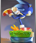 Modern Sonic  (MSTHS008.jpg)