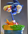 Modern Sonic  (MSTHS009.jpg)