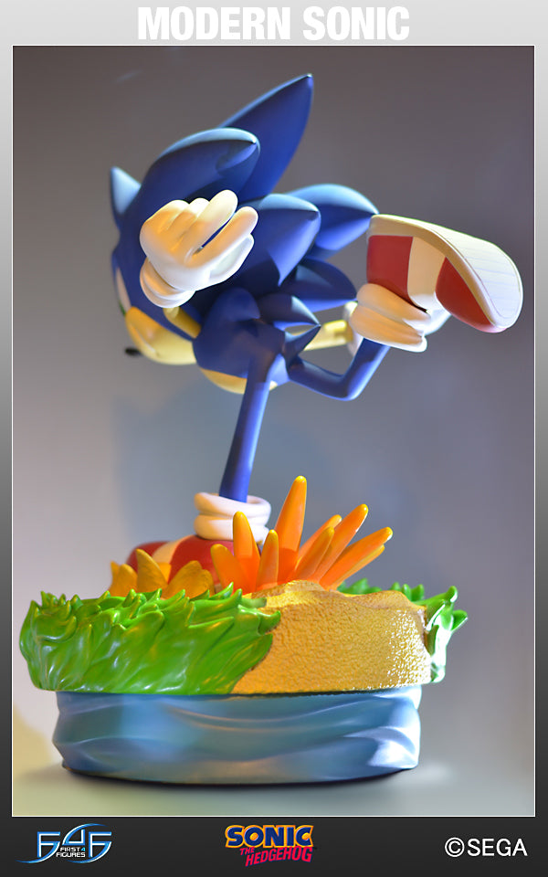 Modern Sonic  (MSTHS010.jpg)