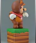 Tanooki Mario Exclusive (SMTMX005.jpg)