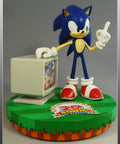 20th Anniversary Sonic  (STH20TH003.jpg)