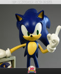 20th Anniversary Sonic  (STH20TH004.jpg)