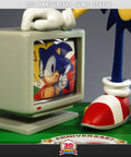 20th Anniversary Sonic  (STH20TH005.jpg)