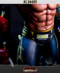 King Tekken 5 DR Exclusive (TKIBX041.jpg)