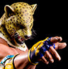 King Tekken 5 DR Exclusive (TKIBX047.jpg)