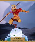 Avatar: The Last Airbender - Aang PVC Collector’s Edition (aangce_17.jpg)