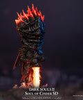 Soul of Cinder SD - Exclusive edition (add2c565-b17b-48e6-be01-3999a4796053.jpg)