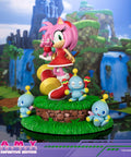 Sonic the Hedgehog - Amy Definitive Edition (amyrose-de_07.jpg)