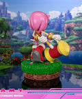 Sonic the Hedgehog - Amy Standard Edition (amyrose-st_04.jpg)